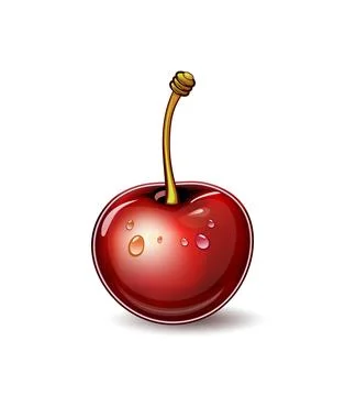 Vector cherry illustration. Isolated on white background. Cartoon style icon Stock Illustration