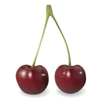 Vector cherry isolated on white background Stock Illustration