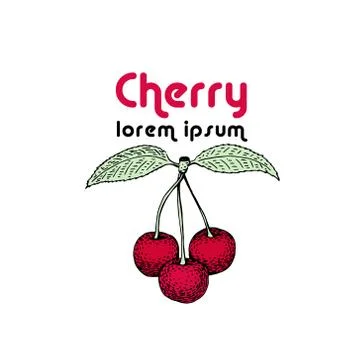 Vector cherry logo template. Can be use for background, design, invitation,.. Stock Illustration