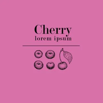 Vector cherry logo template. Can be use for background, design, invitation,.. Stock Illustration
