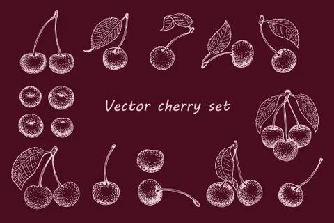 Vector cherry set. Can be use for background, packaging, design, invitation.. Stock Illustration