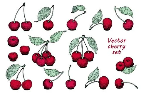 Vector cherry set. Can be use for background, packaging, design, invitation.. Stock Illustration
