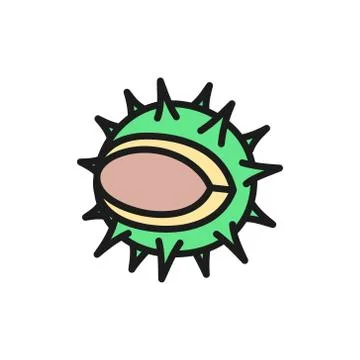 Vector chestnut flat color icon. Isolated on white background Stock Illustration