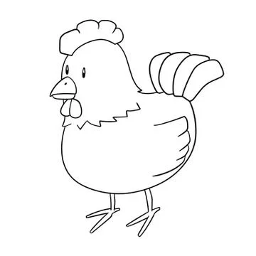 Vector of chicken Stock Illustration