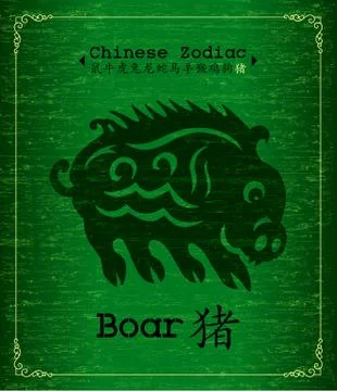 Vector Chinese Zodiac - Boar Stock Illustration