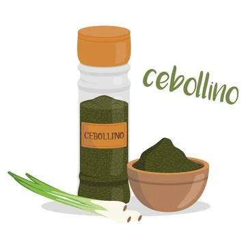 Vector chive illustration isolated in cartoon style. Spanish name. Herbs an.. Stock Illustration