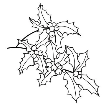 Vector Christmas holly hand drawn illustration. Black linear sketch isolated. Stock-Illustration