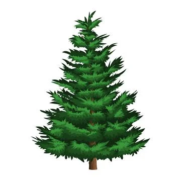 Vector of Christmas tree isolated on white background Stock Photos