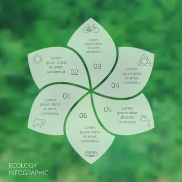 Vector circle eco infographic. Stock Illustration