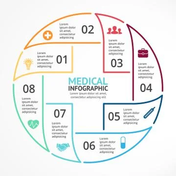 Vector circle plus sign linear infographic. Template for diagram, graph Stock Illustration