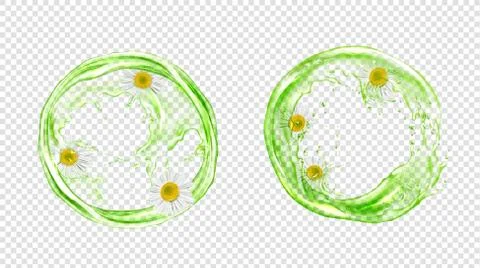 Vector circle splash of green tea with chamomile Stock Illustration