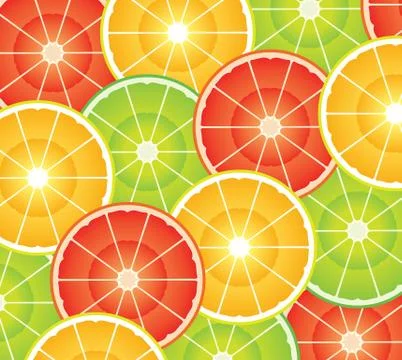 Vector citrus slices Stock Illustration