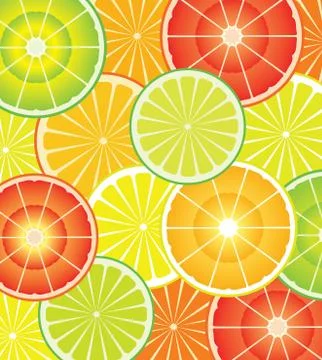 Vector citrus slices Stock Illustration
