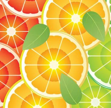 Vector citrus slices Stock Illustration