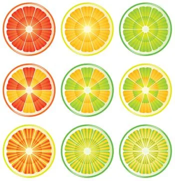 Vector citrus slices Stock Illustration