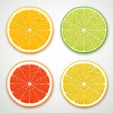 Vector citrus slices Stock Illustration