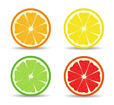 Vector citrus slices Stock Illustration