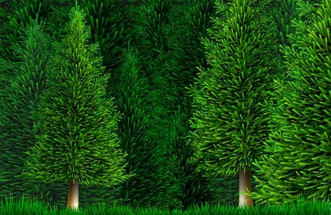 Vector clipart pine or spruce forest nature Stock Illustration