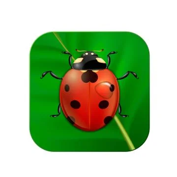 Vector close-up realistic icon with ladybug on leaf. EPS10. Stock Illustration