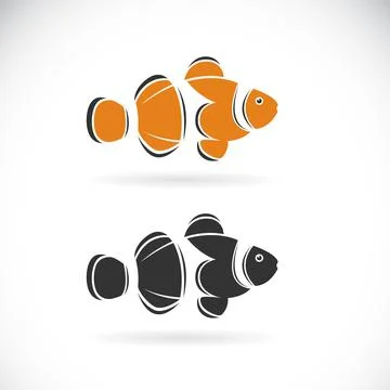 Vector of clownfish design on white background. Easy editable layered vector  Stock Illustration