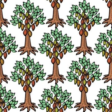 Vector cocoa bean tree hand drawn sketch doodle food cacao tree chocolate sweet Stock Illustration