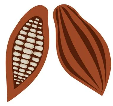 Vector Cocoa Beans Stock Illustration
