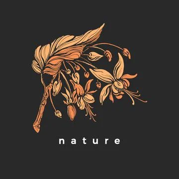 Vector cocoa tree with leaves and flower in bloom. Botanical golden shape, na Stock Illustration