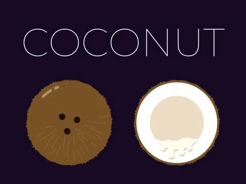 Vector of Coconut and sliced half of Coconut on dark background Stock-Illustration