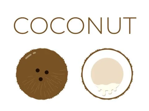 Vector of Coconut and sliced half of Coconut on white background Stock Illustration