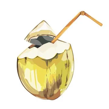Vector coconut hand drawn sketch. Watercolor vector tropical food illustration Stock Illustration