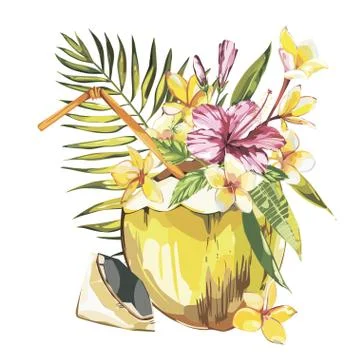 Vector coconut hand drawn sketch with palm leaf, plumeria and a pink hibiscus Stock Illustration