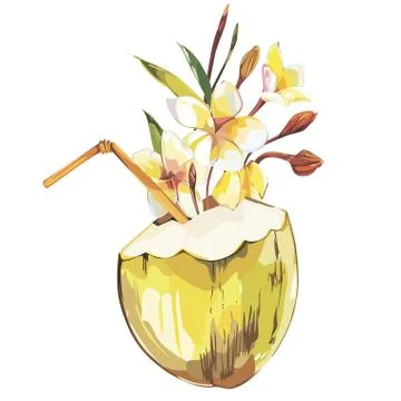 Vector coconut hand drawn sketch with plumeria flowers. Watercolor vector Stock Illustration