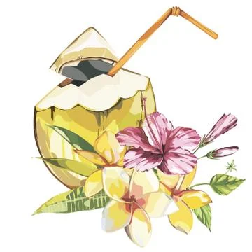 Vector coconut hand drawn sketch with plumeria and a pink hibiscus flowers Stock Illustration