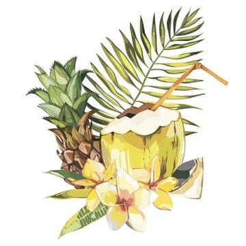 Vector coconut hand drawn sketch with plumeria and Pineapple. Watercolor vector Stock Illustration