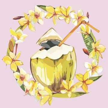 Vector coconut hand drawn sketch with plumeria flowers. Watercolor vector Stock Illustration