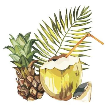 Vector coconut hand drawn sketch with Pineapple. Watercolor vector tropical food Stock Illustration