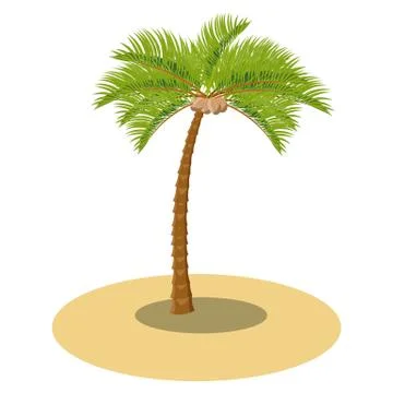 Vector coconut palm tree on the sand. Illustration for tropical cartoon props Stock Illustration
