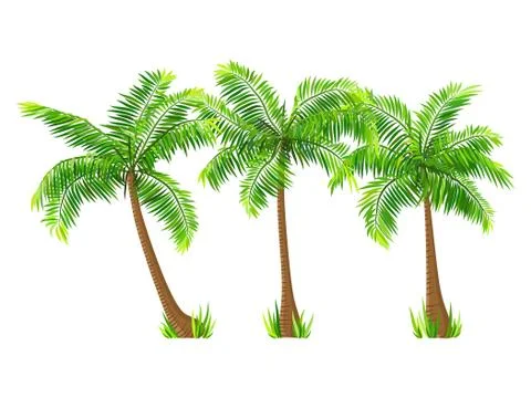 Vector coconut palm trees set isolated on white Stock Illustration