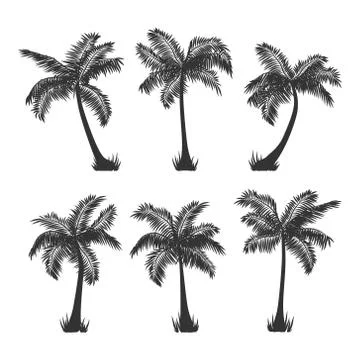 Vector coconut palm trees silhouette set on white Stock Illustration