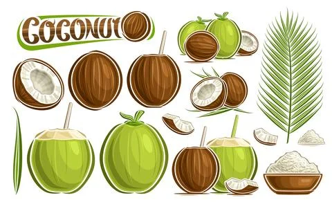 Vector Coconut Set Stock Illustration