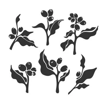 Vector coffee tree. Art set. Organic arabica drink Stock Illustration