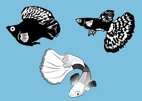 Vector Collaction Silhouette of freshwater fish Stock Illustration