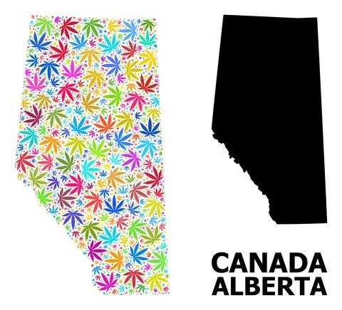 Vector Collage Map of Alberta Province of Colored Marijuana Leaves and Solid Map 스톡 일러스트