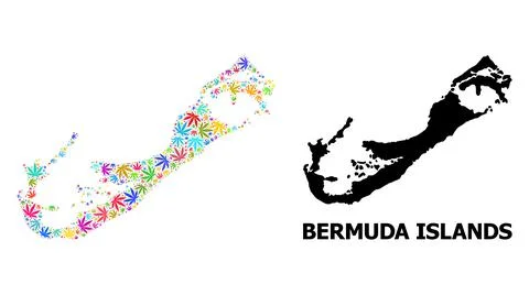 Vector Collage Map of Bermuda Islands of Psychedelic Hemp Leaves and Solid Map Stock Illustration