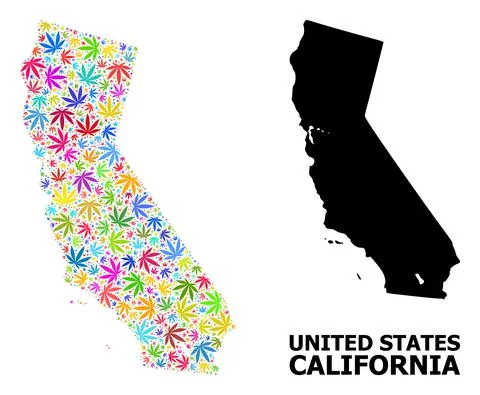 Vector Collage Map of California of Colored Weed Leaves and Solid Map Stock Illustration