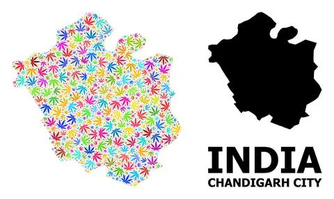 Vector Collage Map of Chandigarh City of Psychedelic Marijuana Leaves and Solid イラスト素材