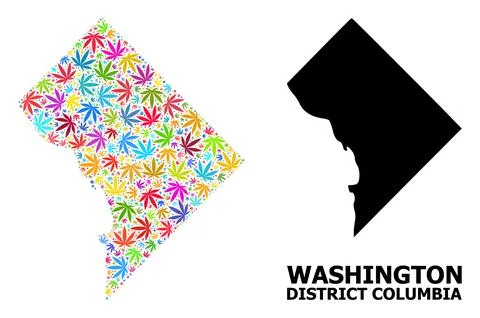 Vector Collage Map of District Columbia of Bright Cannabis Leaves and Solid Map Stock Illustration