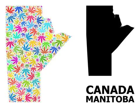 Vector Collage Map of Manitoba Province of Colorful Weed Leaves and Solid Map Illustrazione stock
