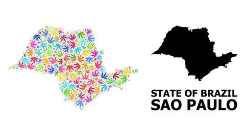 Vector Collage Map of Sao Paulo State of Psychedelic Weed Leaves and Solid Map Stock Illustration