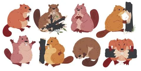 Vector collection of beavers in different poses: sleeping, surprised, joyful and Stock Illustration